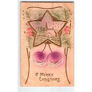 Vintage Embossed Christmas Postcard Star Church Holly Berries Airbrushed